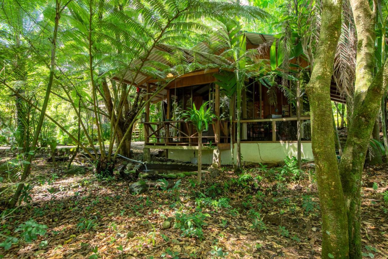 Cabanas Del Lago La Fortuna Exterior foto